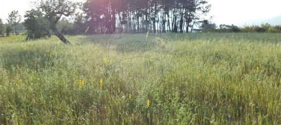 9 chambres Maison à Fundao, Portugal No. 74625 37