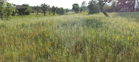 9 chambres Maison à Fundao, Portugal No. 74625 36