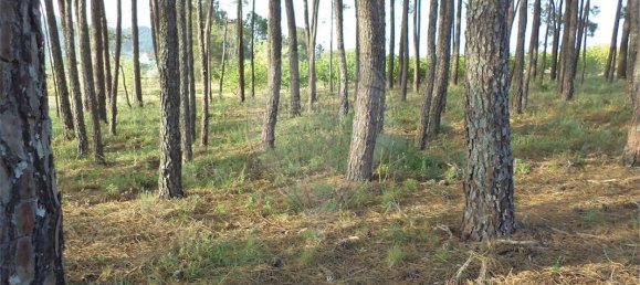 9 chambres Maison à Fundao, Portugal No. 74625 45