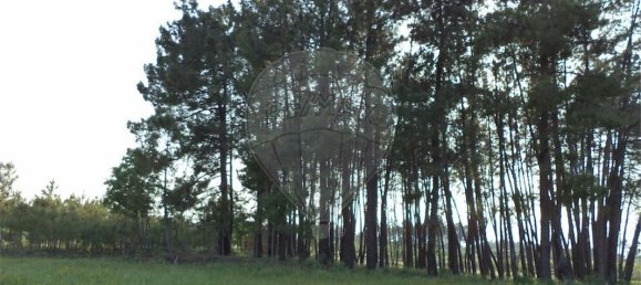 9 chambres Maison à Fundao, Portugal No. 74625 38