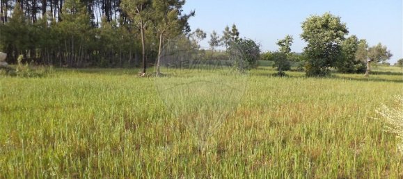 9 chambres Maison à Fundao, Portugal No. 74625 21