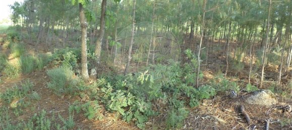 9 chambres Maison à Fundao, Portugal No. 74625 47