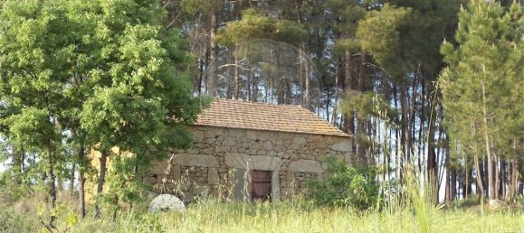 9 chambres Maison à Fundao, Portugal No. 74625 2
