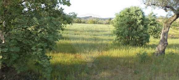9 chambres Maison à Fundao, Portugal No. 74625 31