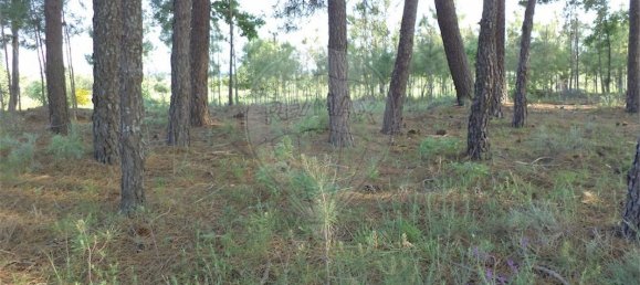 9 chambres Maison à Fundao, Portugal No. 74625 43