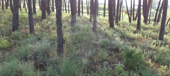 9 chambres Maison à Fundao, Portugal No. 74625 42