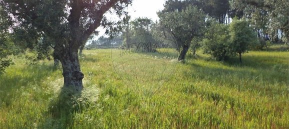 9 chambres Maison à Fundao, Portugal No. 74625 25