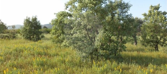 9 chambres Maison à Fundao, Portugal No. 74625 28