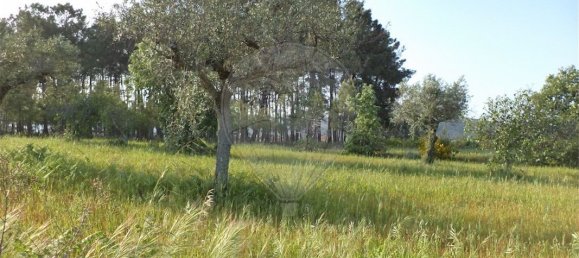 9 chambres Maison à Fundao, Portugal No. 74625 23