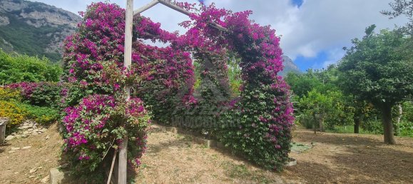 1200m² Warehouse in Meta, Italy No. 172636 2