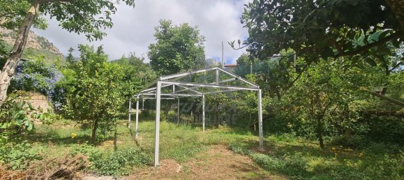 1200m² Warehouse in Meta, Italy No. 172636 6