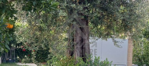 1200m² Warehouse in Meta, Italy No. 172636 12