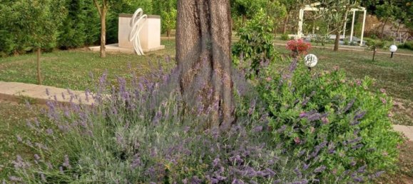 1200m² Warehouse in Meta, Italy No. 172636 11