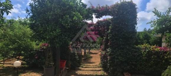 1200m² Warehouse in Meta, Italy No. 172636 3