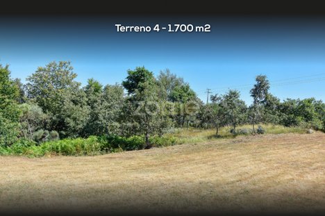6000m² Land in Amarante, Portugal No. 15541