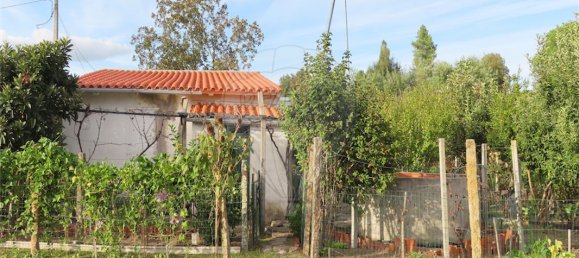 9 bedrooms House in Penamacor, Portugal No. 65749 15