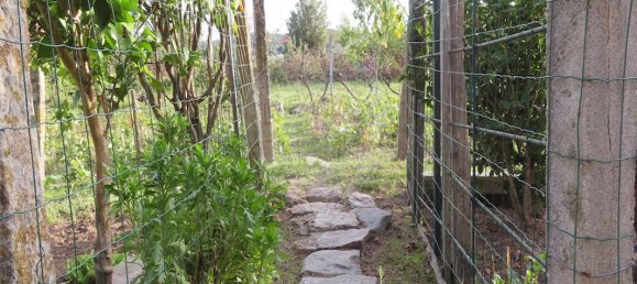 9 bedrooms House in Penamacor, Portugal No. 65749 2