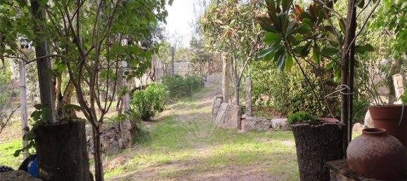 9 bedrooms House in Penamacor, Portugal No. 65749 5