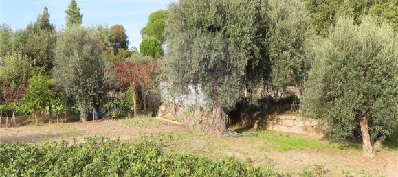 9 bedrooms House in Penamacor, Portugal No. 65749 19