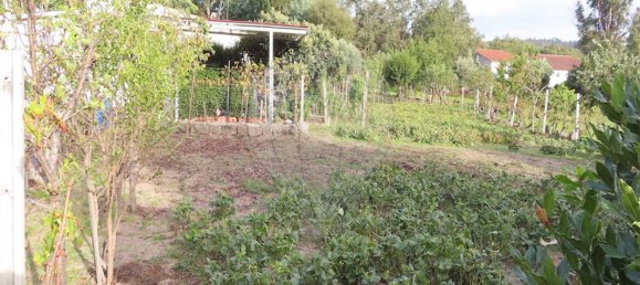 9 bedrooms House in Penamacor, Portugal No. 65749 7