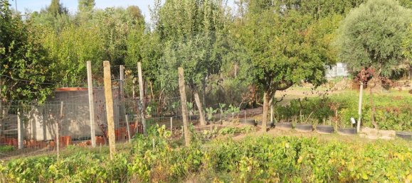 9 bedrooms House in Penamacor, Portugal No. 65749 16