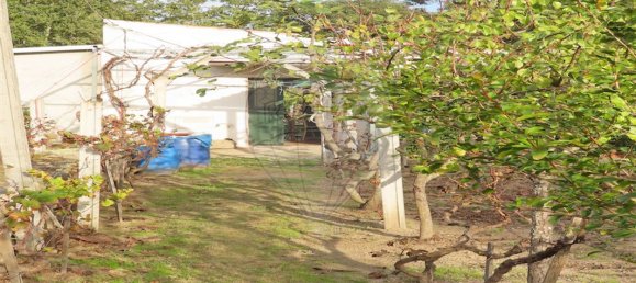 9 bedrooms House in Penamacor, Portugal No. 65749 8