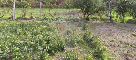 9 bedrooms House in Penamacor, Portugal No. 65749 11