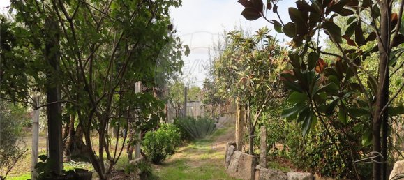 9 bedrooms House in Penamacor, Portugal No. 65749 3