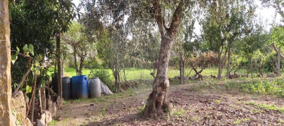 9 bedrooms House in Penamacor, Portugal No. 65749 34