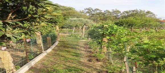 9 bedrooms House in Penamacor, Portugal No. 65749 12