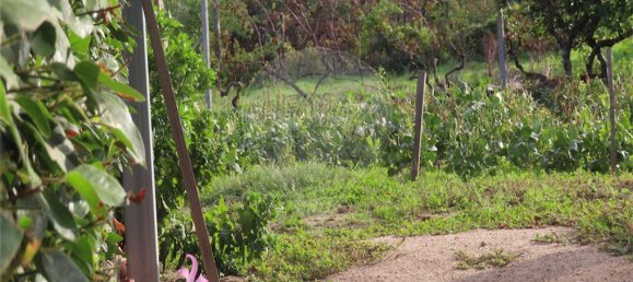 9 bedrooms House in Penamacor, Portugal No. 65749 10