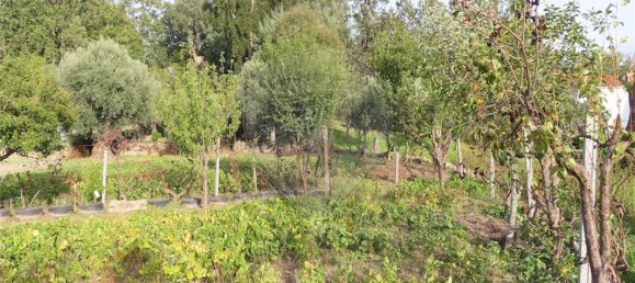 9 bedrooms House in Penamacor, Portugal No. 65749 14