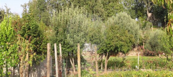 9 bedrooms House in Penamacor, Portugal No. 65749 13