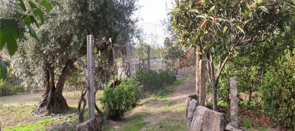 9 bedrooms House in Penamacor, Portugal No. 65749 4