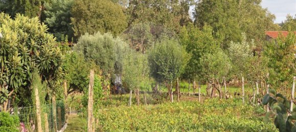 9 bedrooms House in Penamacor, Portugal No. 65749 9