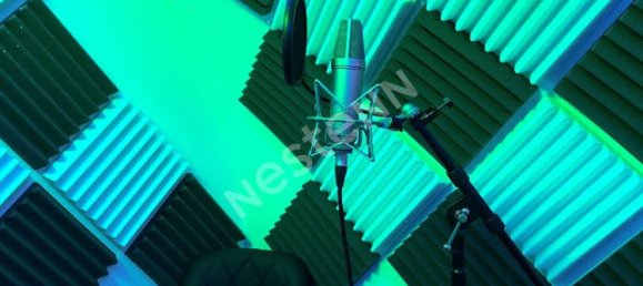 Gewerbliche Immobilie in Orleans, France 25m², Nr. 72155 31