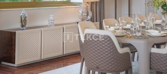 7 غرف نوم فيلا في The World Islands, UAE رقم 102608 26