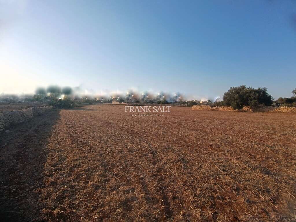 Terreno en Zejtun, Malta 8938 m² No. 13479