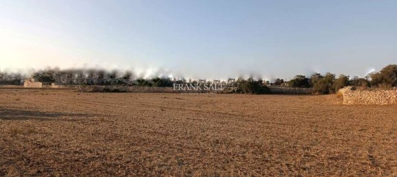 Terreno en Zejtun, Malta 8938 m² No. 13479 2