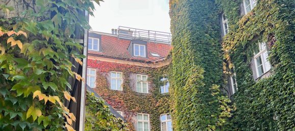  عقار تجاري في Wahring, Austria 579متر مربع رقم 174813 5