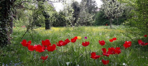 4 bedrooms House in Augsburg, Germany No. 237645 5