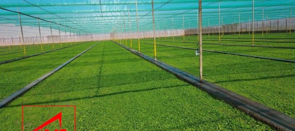  قطعة أرض في Andalusia, Spain 115000متر مربع رقم 171572 13