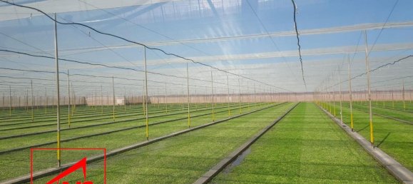  قطعة أرض في Andalusia, Spain 115000متر مربع رقم 171572 12