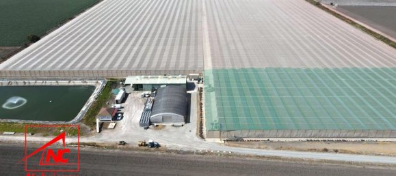  قطعة أرض في Andalusia, Spain 115000متر مربع رقم 171572 3