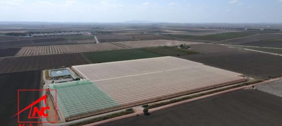  قطعة أرض في Andalusia, Spain 115000متر مربع رقم 171572 2