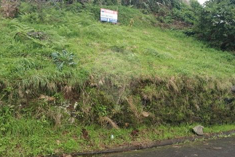  Land in Santana, Portugal No. 250393