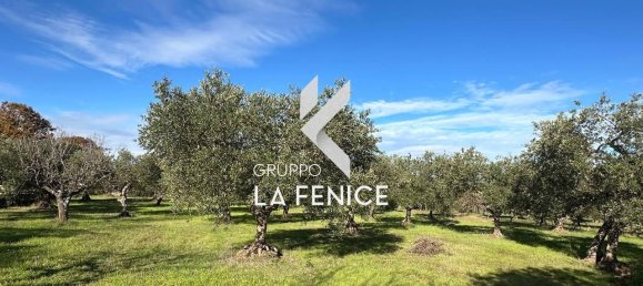 Casa de 3 habitaciónes en Locorotondo, Italy No. 24384 16