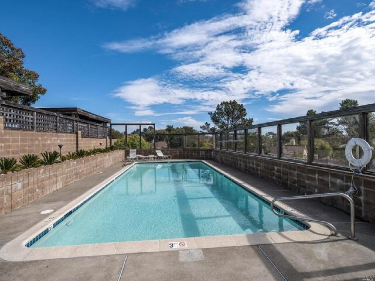 Studio in Mill Valley, USA No. 408196