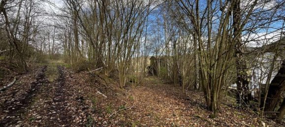 Lagerhaus in Werra-Meißner, Germany 60443m², Nr. 326480 10