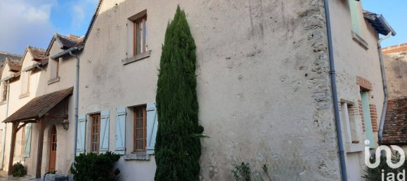 5 bedrooms House in Saint-Denis-sur-Loire, France No. 256761 3